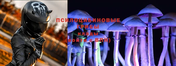 крисы Богородицк