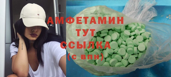 крисы Богородицк