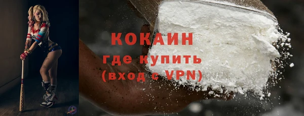 крисы Богородицк