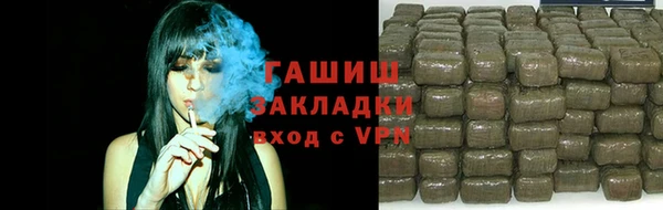 крисы Богородицк