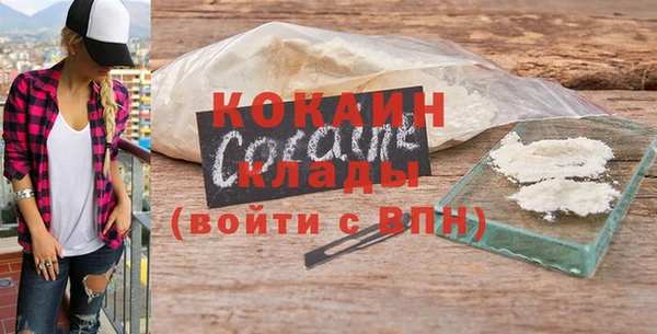 крисы Богородицк