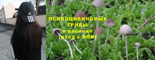 СК Богородск