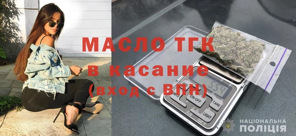 крисы Богородицк