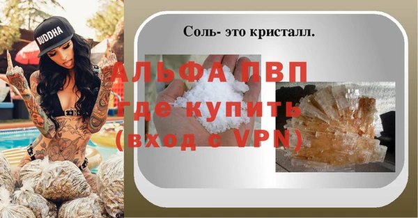 крисы Богородицк