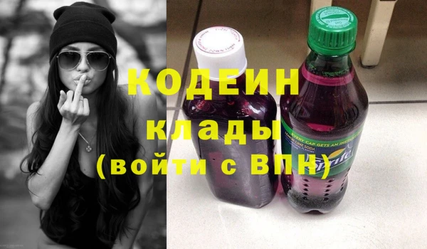крисы Богородицк