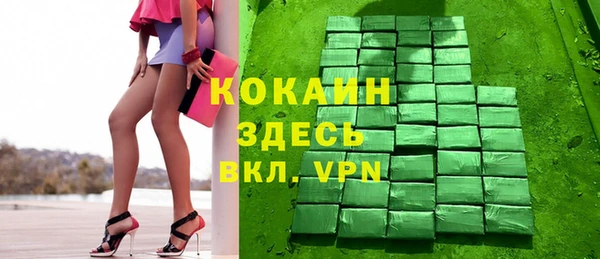 крисы Богородицк