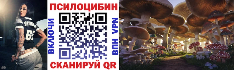 Купить закладки Баймак Псилоцибиновые грибы ЛСД